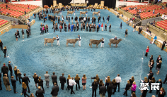 2026美国乳业展(WORLD DAIRY EXPO)时间表及地点