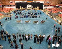 威斯康星洲奶业展展会现场(现场盛况)3