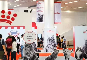 泰国猫展2025时间表与地点