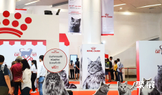 2025泰国猫展参展攻略(时间地点+门票价格)