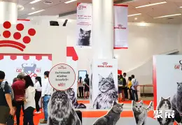 曼谷猫展展会现场(现场盛况)4