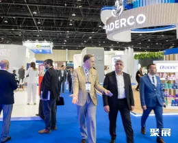 阿布扎比纸展现场图片5