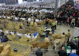 德国宠物展现场图片4