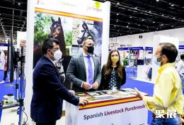 迪拜马术展现场图片5