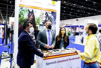 2025年迪拜马术展门票如何申请?多少钱?