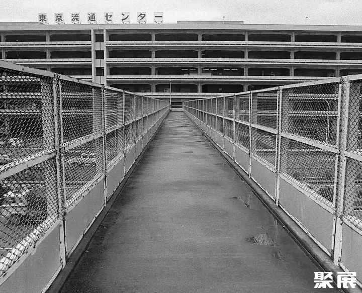 日本东京流通中心实拍图
