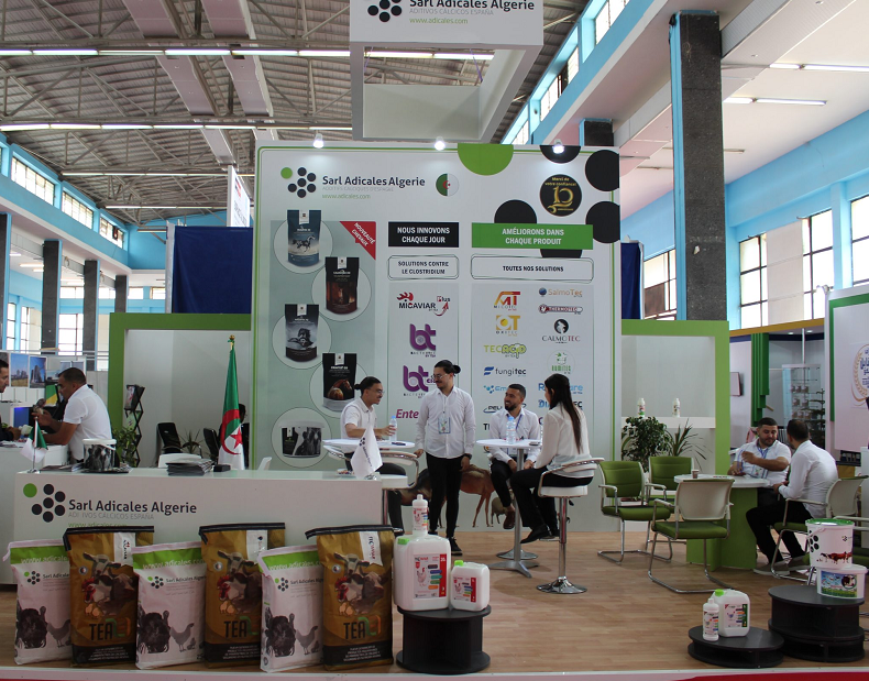 阿尔及利亚畜牧展现场图片4