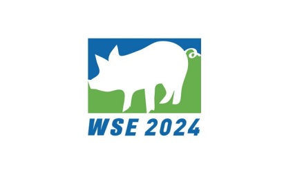 WSE