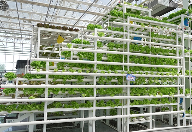 新疆农业博览园（昌吉）实拍