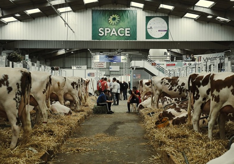 法国畜牧展现场图片8