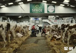 法国畜牧展现场图片8