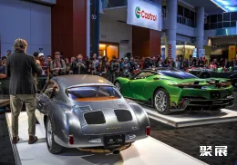 加拿大车展现场图片8
