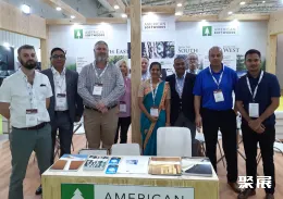 埃及木工机械展现场图片6