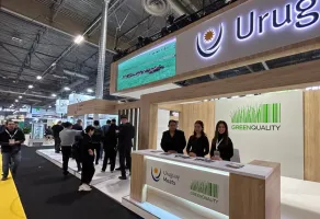 德國玩具展2026門票在哪買