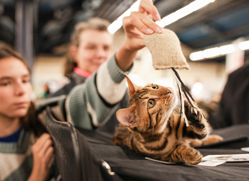 法国宠物展现场图片8