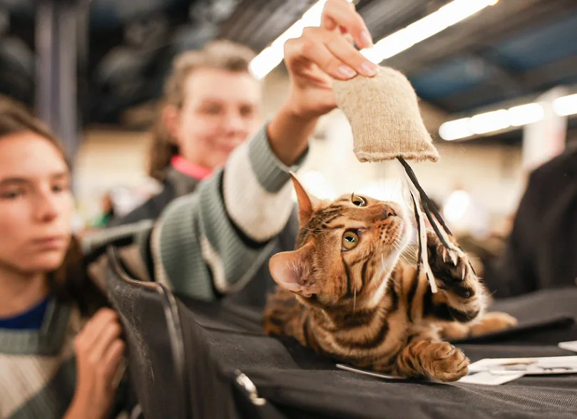 法国宠物展(EXPOZOO Paris Animal Show)2026时间及地点
