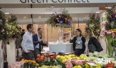 哈萨克斯坦花卉园艺展2025门票哪里买