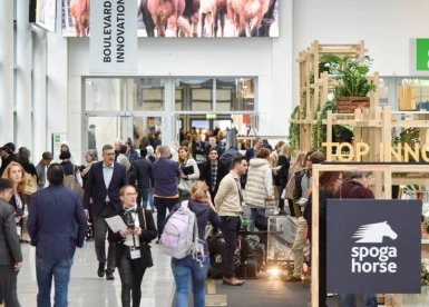 德国马具展2026门票在哪买