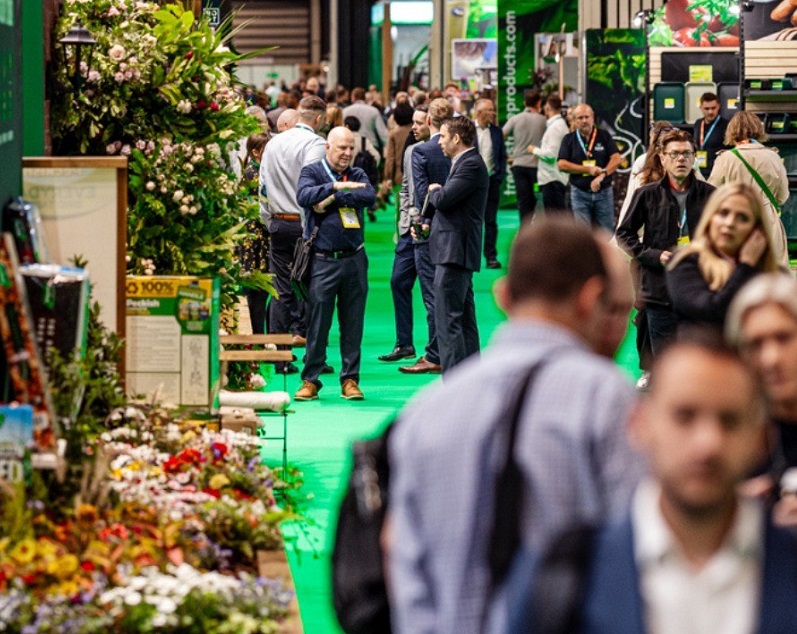 英国园艺展现场图片1