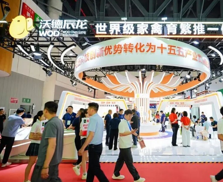 成都畜牧展展会现场(现场盛况)4