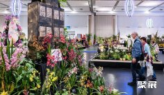 德国花卉展2025参展攻略(时间地点+门票怎么买?)