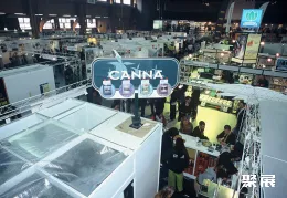 伯尔尼大麻展展会现场(现场盛况)3