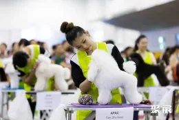 新加坡宠物展现场图片4