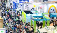 2025深圳亚宠展参展攻略(时间地点+门票价格)