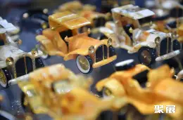 波兰琥珀展展会现场(现场盛况)6