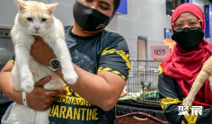 马来西亚猫展(Murni Ekspo Sdn Bhd)2026的展品范围