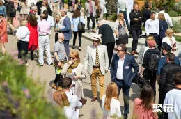 英国花卉展现场图片2