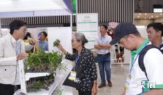 2026泰国果蔬展最新会刊获取