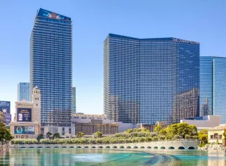 美国拉斯维加斯大都会酒店图片2