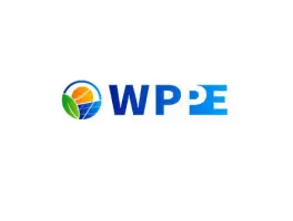 China (Wuhan) New Power Industry ExpoLogo