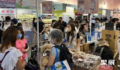 香港宠物展2026门票购买途径