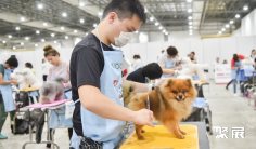 2026新加坡宠物展时间和举办地点