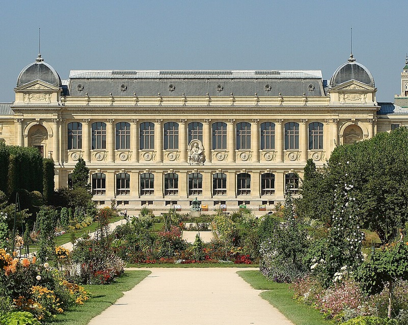 法國巴黎花卉公園實拍圖