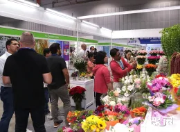 泰國花卉園藝展展會現場(現場盛況)8