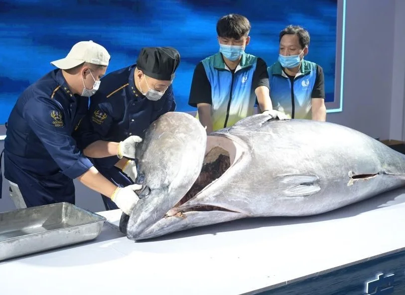 福建渔博会(Fisheries Expo)2026会刊怎么获取？