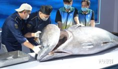 福建渔博会(Fisheries Expo)2026会刊怎么获取?