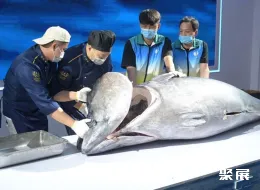 福建渔博会现场图片11