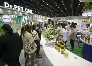 2025泰国大麻展最新参展商名录