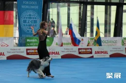 德国宠物展现场图片5