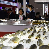 青岛水产展2025门票哪里买 购票入口