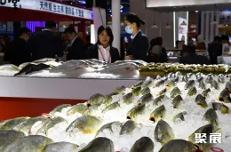 青岛水产展现场图片11