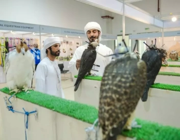 2025中东露营展展位图与展位申请