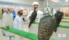 2025中东阿联酋沙迦户外露营、狩猎展览会时间地点