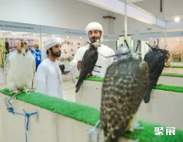 中东露营展现场图片6