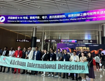 2026深圳显示展参展攻略（时间+地点+门票怎么买？）