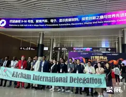 深圳国际显示展展会现场(现场盛况)1